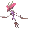 Dragalge