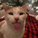 loftmas