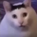 famoushuhcat Discord Emoji