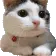 cat_no