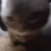 chipichipi