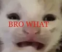 BROWHAT