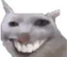Chad
