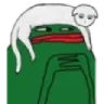 thinkgecat thinkgecat