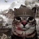 ptsdstare