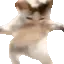 catWiggle