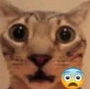 surprised