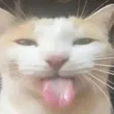 catzzzsilly Discord Emoji