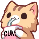 cat_drinking_cum