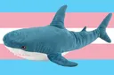 trans_rights