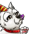 sqrlPARTY