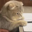 grrrrr