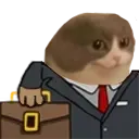 gatoBusiness