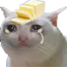 Butter_cat_cry