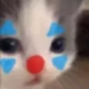 bkituocat Discord Emoji