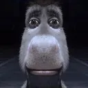 depresseddonkey