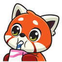 red_panda_drink Discord emoji