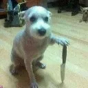 Death_Penalty