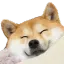 happy_doge_doggo