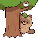 tanukihidetree