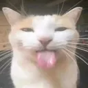 silly