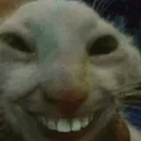 smileket