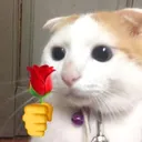 cat_flor Discord Emoji