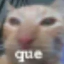 cat_wba_que Discord Emoji