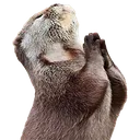 yu_otterPray