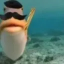 pezfrances