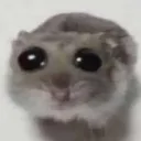 oi