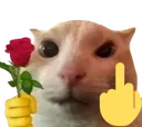 catFuRose catFuRose