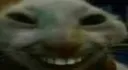 xdd