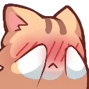 catflustered Discord Emoji