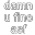 word_damnufine