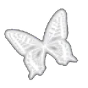 d_butterfly2