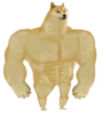 strong_doge