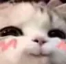catblush