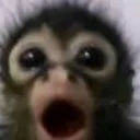 GASP