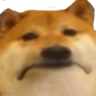 echat_dogeSad Discord emoji