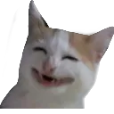 AAZ_Grincat Discord Emoji