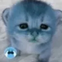 kaw kaw