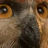 OwlBearEyes