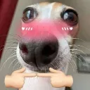 ClovisKawaii