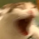 AUGHGUGHAAHHHHHHHHHHH