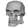 skull2