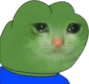 PepeCat PepeCat