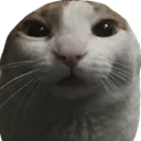4BKoof