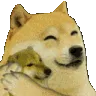dogehugs