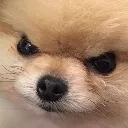 emoji_46 emoji_46